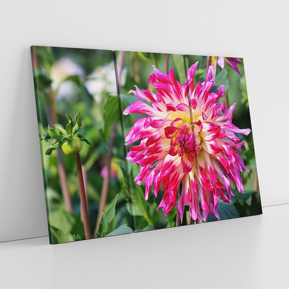 Obraz na płótnie 120x80 - Kwiatowe impresje natury - kwiat, kwiaty