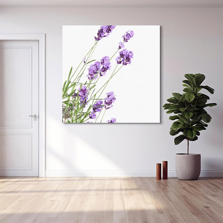 Obraz na płótnie 50x50 - Delikatny Urok - lawenda, kwiaty