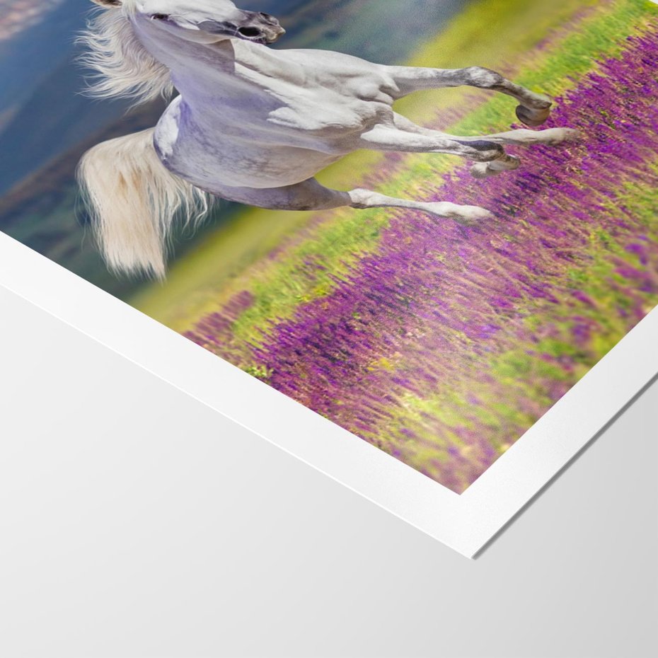 Plakat bez ramy 21x30 - Koń Góry: Spotkanie z Wielką Przyrodą - koń, góry