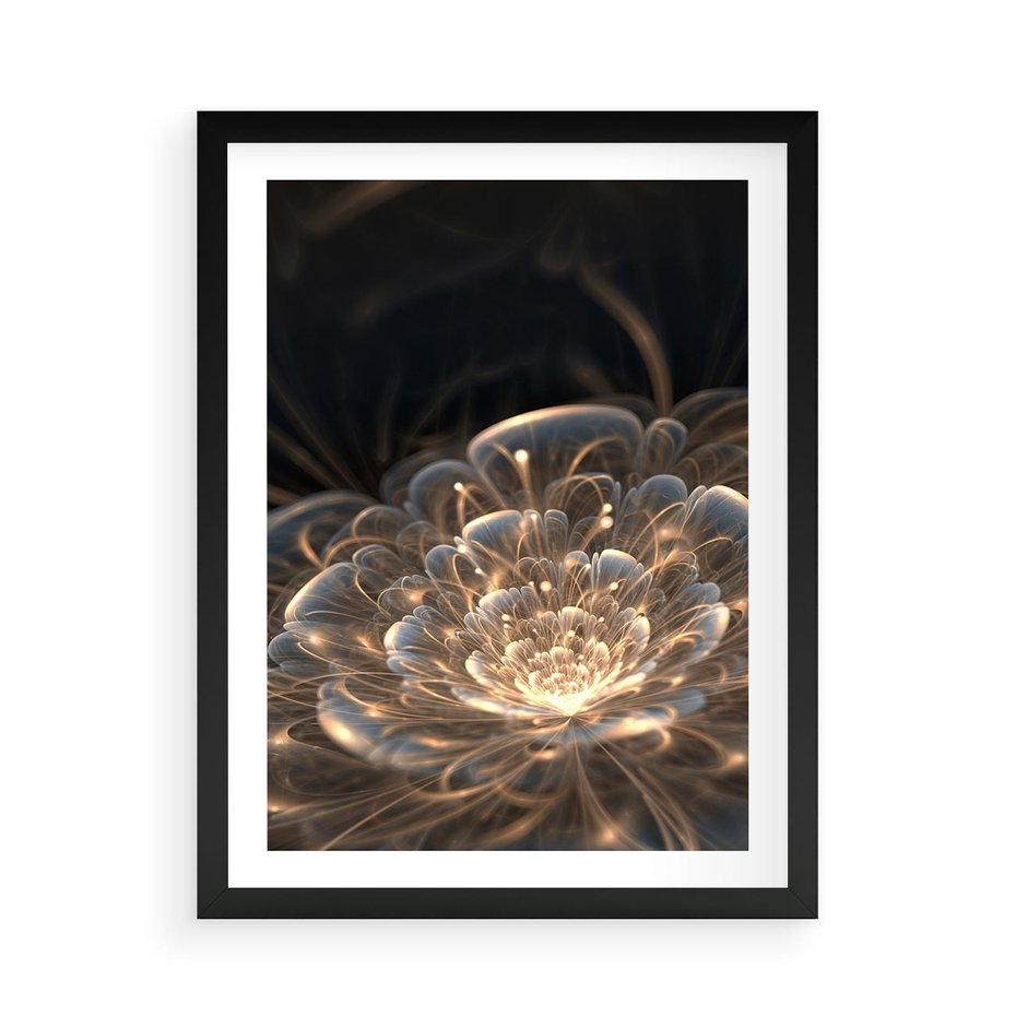 Plakat w ramie 50x70 - Nowoczesny Kwiat - kwiat, nowoczesny - rama czarna