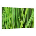 Obraz na płótnie 120x80 - Trawa w abstrakcji: natura przekształcona - trawa, abstrakcja