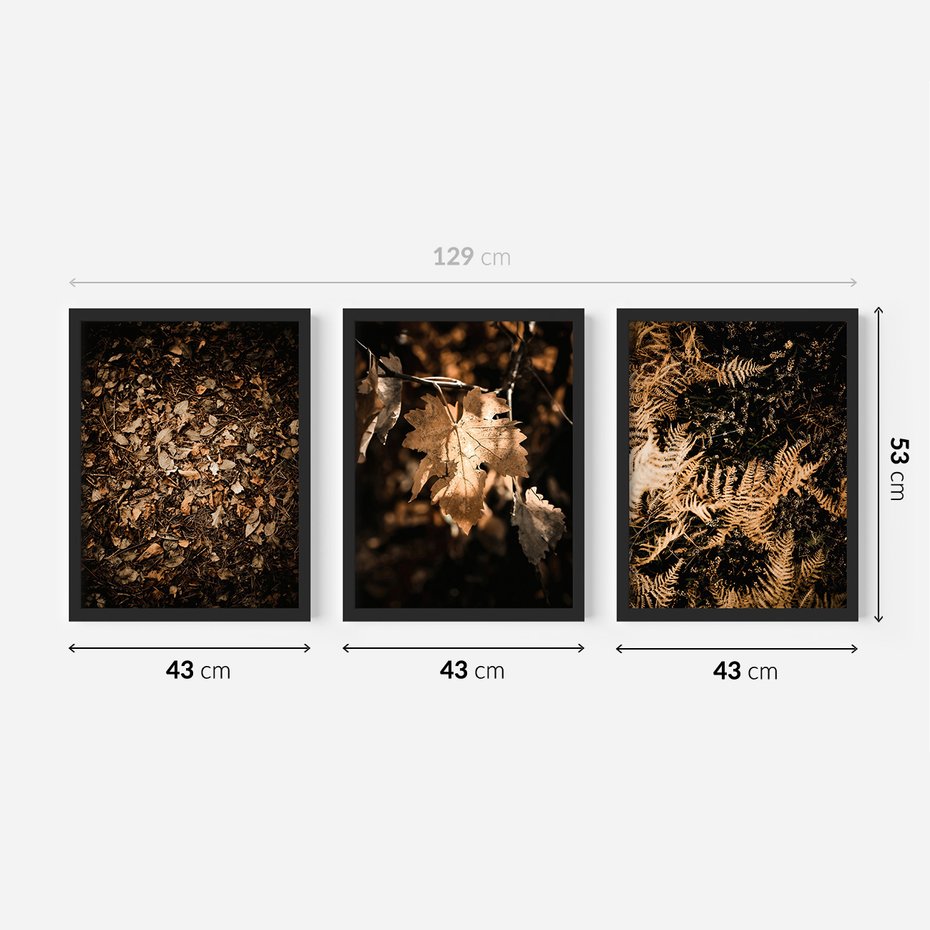 Zestaw obrazy w ramie 40x50 galeria - Suche, jesienne, liście, las - rama czarna
