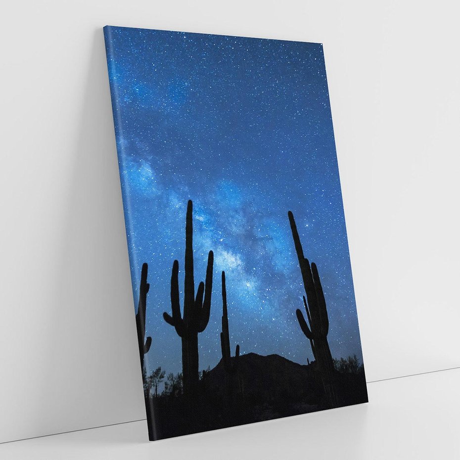 Obraz na płótnie 70x100 - Kaktusy - Niebo z gwiazdami - kaktusy, niebo