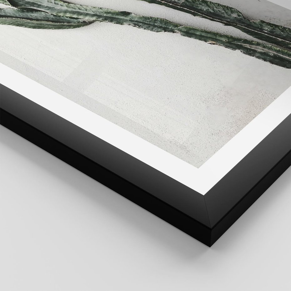 Plakat w ramie 50x70 - Zielona Roślina z Liśćmi - zielona roślina, liście - rama czarna