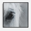 Obraz w ramie 50x50 - Oko Mocy - czarno białe zdjęcie, zbliżenie makro na oko konia - rama czarna