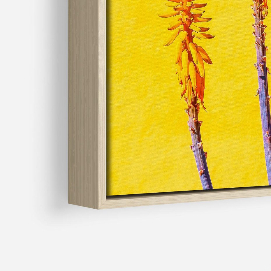 Obraz w ramie 50x50 - Radość Natury - kolor, kwiaty - rama drewno