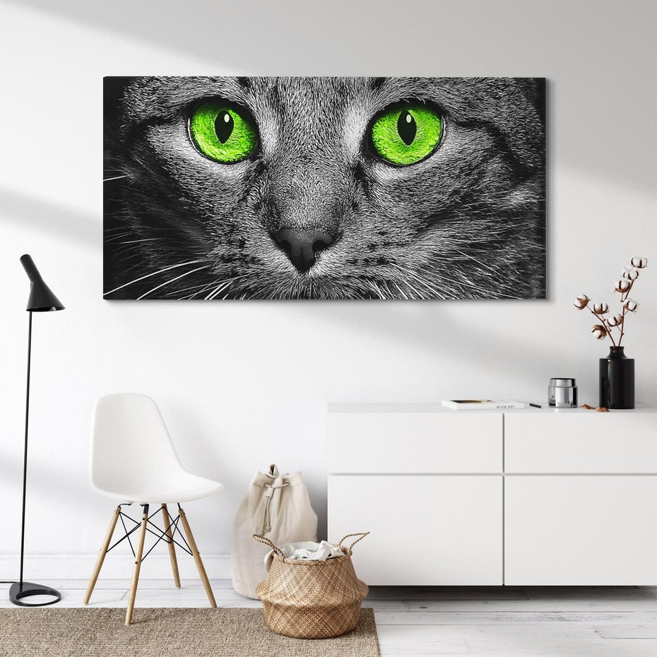 Obraz na płótnie 120x60 - Przestreń nautra doznania - kot, kotek