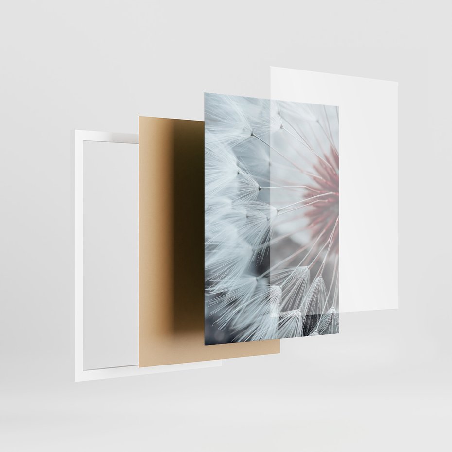 Zestaw obrazy w ramie 50x70 galeria - Dmuchawiec, nowoczesny, minimalizm - rama biała