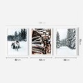 Zestaw obrazy w ramie 50x70 galeria - Zima, las, renifer, krajobraz - rama biała