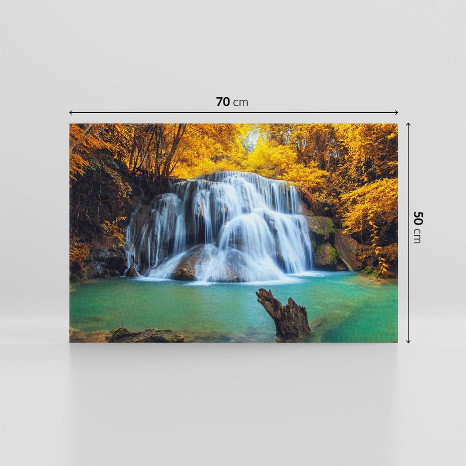 Obraz na płótnie 70x50 - Magia kolorów - jesień, las