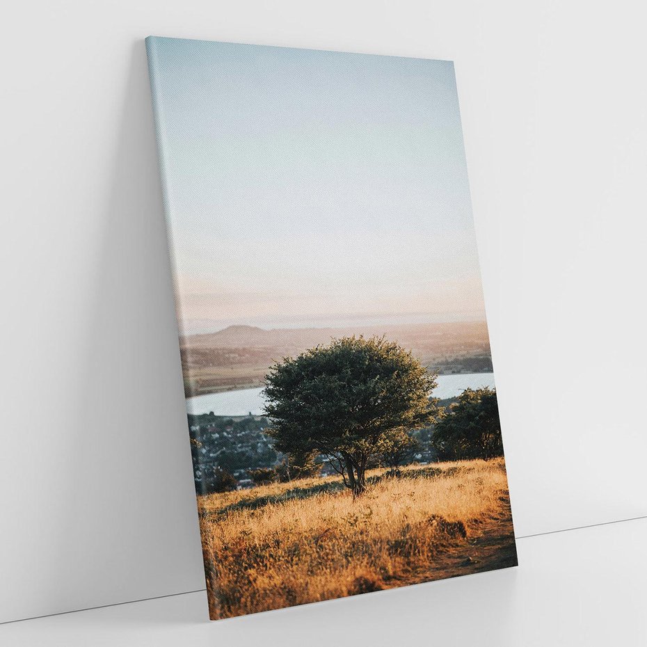 Obraz na płótnie 70x100 - Siła Natury - drzewo, pejzaż