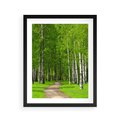 Plakat w ramie 40x50 - Spacer Ścieżką w Urokliwym Lesie - las, ścieżka - rama czarna