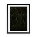 Plakat w ramie 50x70 - Ciemny las iglasty - las, iglasty - rama czarna