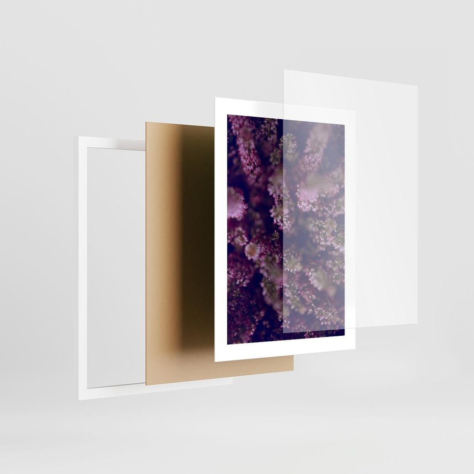 Plakat w ramie 30x40 - Wrzosowa Delikatność - wrzosy, kwiaty - rama biała