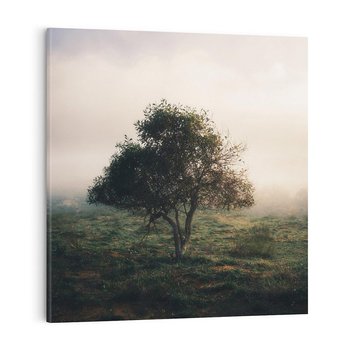 Obraz na płótnie 40x40 - Zamglona Prostota - artystyczna fotografia, samotne drzewo na zamglonej łące