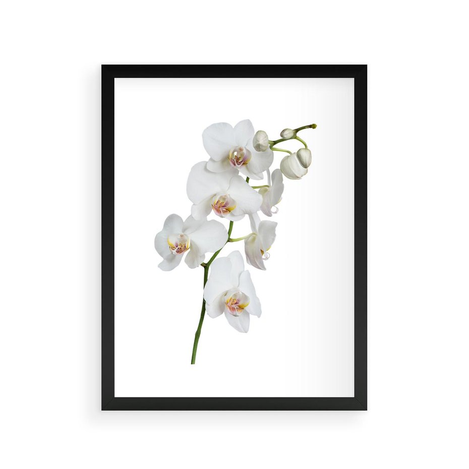 Plakat w ramie 30x40 - Ekskluzywny Relaks - storczyk, spa - rama czarna
