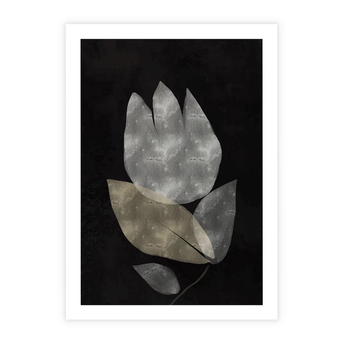 Plakat bez ramy 21x30 - Nocne Uniesienia - abstrakcyjny kwiat, mroczna atmosfera