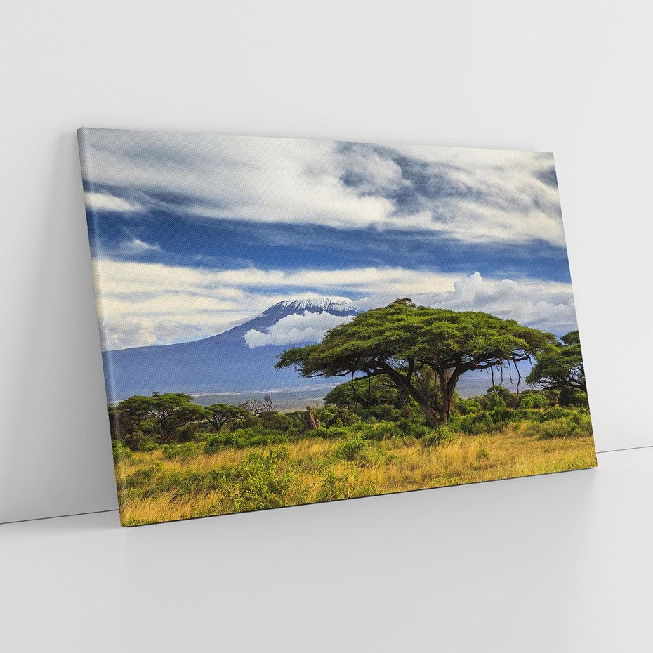 Obraz na płótnie 70x50 - Afrykańska magia - Afryka, Kenia