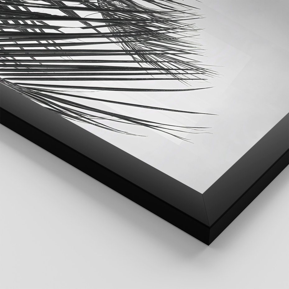 Zestaw obrazy w ramie 50x70 galeria - Palmy, liście, cytat, napis - rama czarna