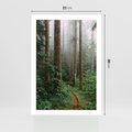 Plakat bez ramy 21x30 - Mgliste Marzenia - artystyczna fotografia, las
