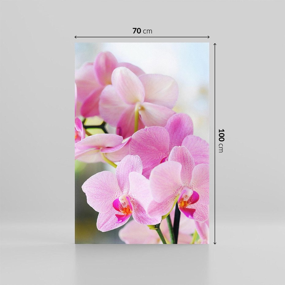 Obraz na płótnie 70x100 - Elegancja orchidei - orchidea, kwiaty