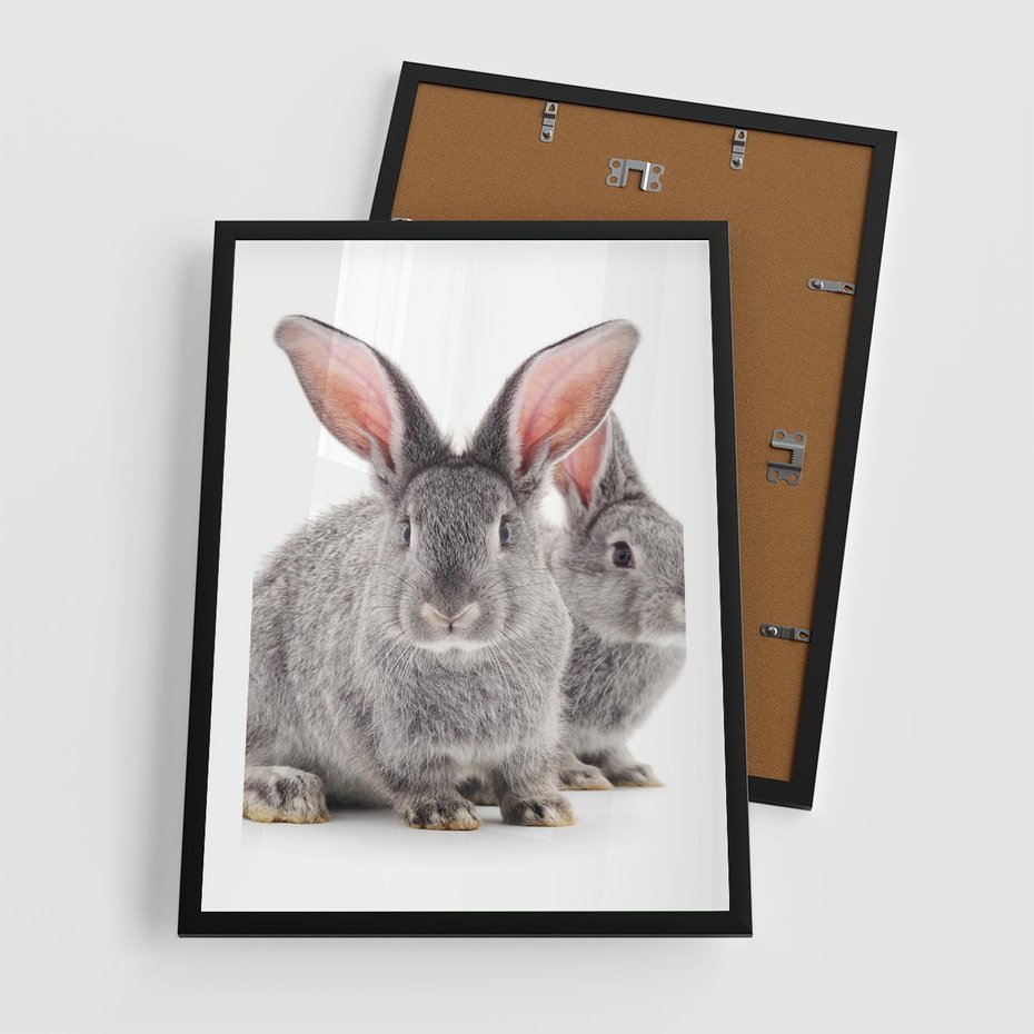 Plakat w ramie 50x70 - Uroczy królik wśród natury - królik, zając - rama czarna