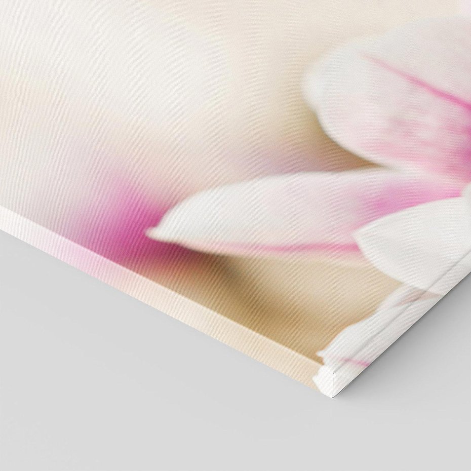 Obraz na płótnie 120x80 - Urok Magnolii - magnolie, kwiaty