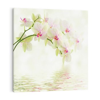 Obraz na płótnie 50x50 - Orchidea w Spa - orchidea, kwiaty