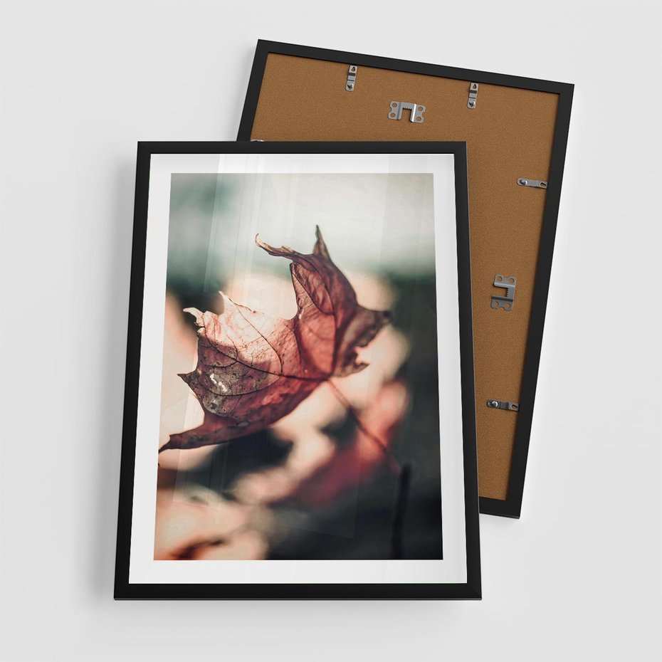 Plakat w ramie 50x70 - Liść w Jesieni - jesienny liść, czerwony - rama czarna