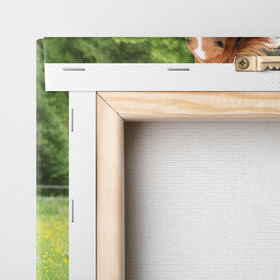 Obraz na płótnie 60x60 - Galopujące konie - konie, galop