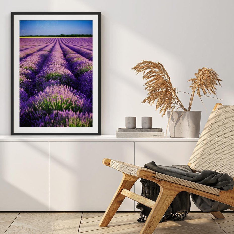 Plakat bez ramy 40x50 - Malownicze Pole Lawendy - lawenda, pole