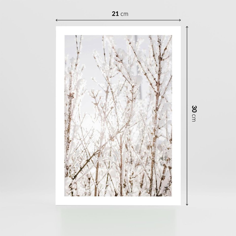 Plakat bez ramy 21x30 - Szron na Gałęziach - ośnieżone gałązki, szron na gałęziach