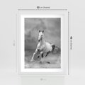 Plakat w ramie 30x40 - Elegancja w Czarno-Białym - koń, biało - rama biała