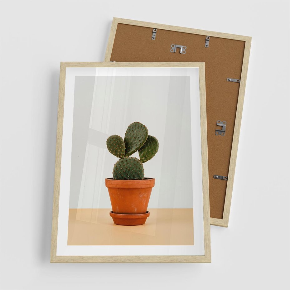 Plakat w ramie 50x70 - Kwiatowy taniec kaktusa - kaktus, kwiat - rama drewno