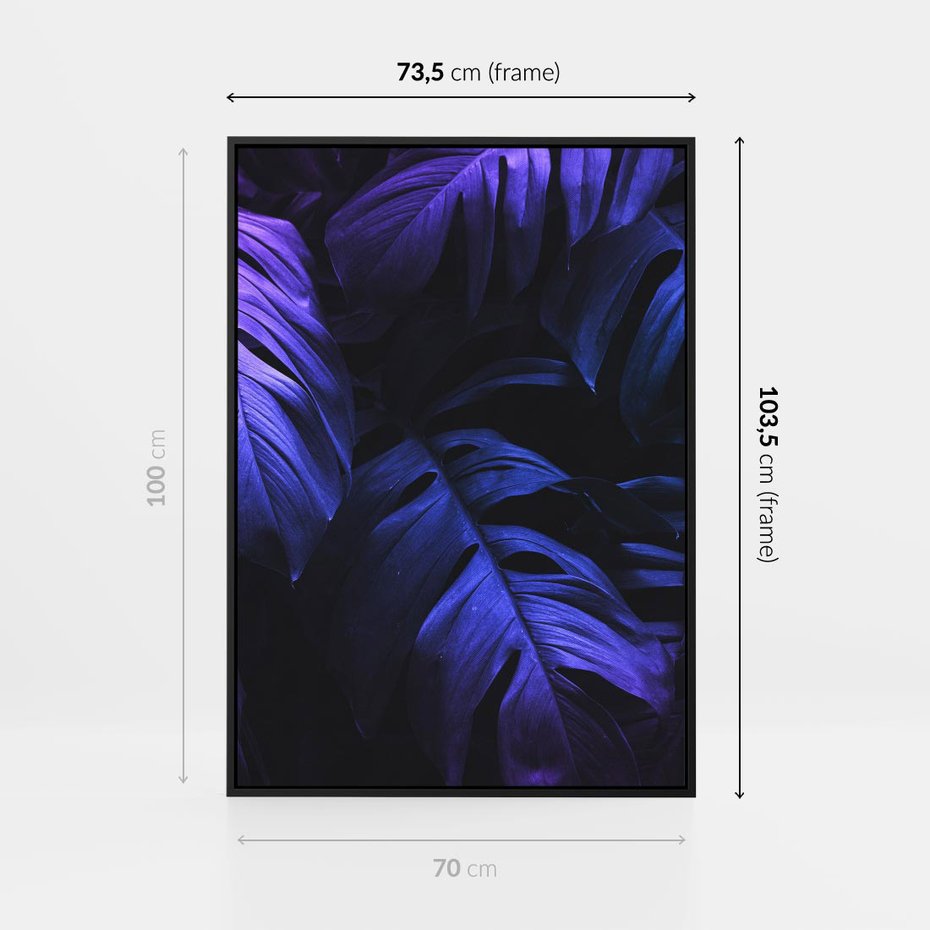 Obraz w ramie 70x100 - Mroczna Magia Dżungli - mroczna grafika, fioletowe liście monstery na czarnym tle - rama czarna