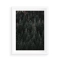 Plakat w ramie 50x70 - Wysoko nad Iglastym Lasem - las, perspektywa - rama biała
