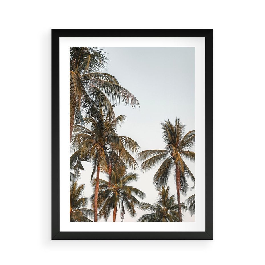 Plakat w ramie 50x70 - Palmy - tęsknota za Hawajami - palmy, Hawaje - rama czarna