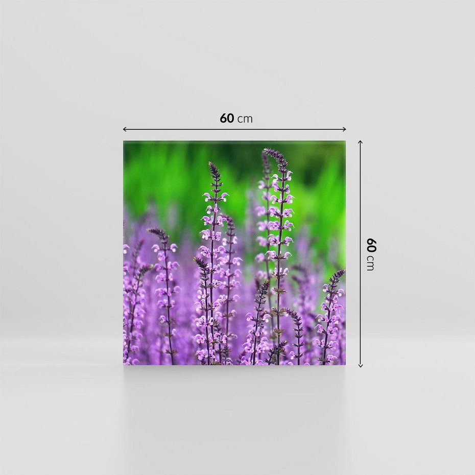 Obraz na płótnie 60x60 - Lawenda magia purpury - lawenda, kwiaty