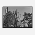 Obraz w ramie 100x70 - Pustynny Klimat - czarno białe zdjecie, pustynia - rama czarna
