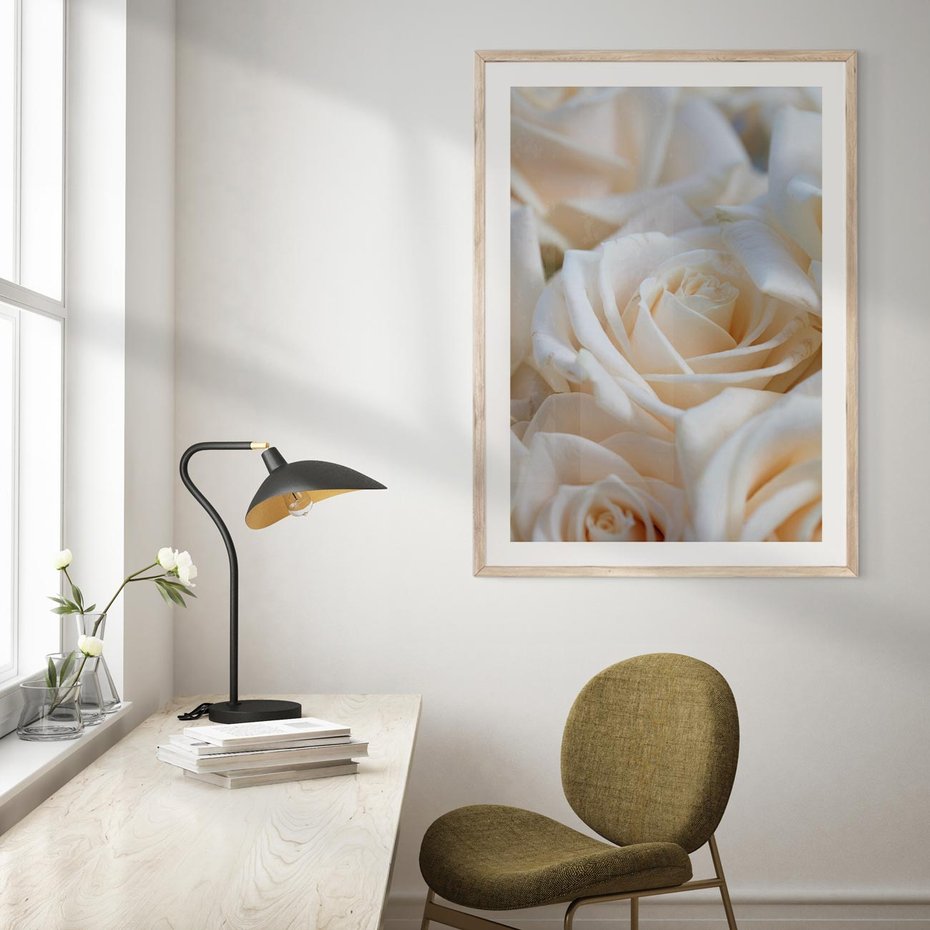 Plakat w ramie 30x40 - Białe róże piękności - białe, róże - rama drewno