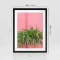 Plakat w ramie 30x40 - Fotografia Rośliny z Różowym Tłem - fotografia, zielona roślina na tle różwj ściany - rama czarna