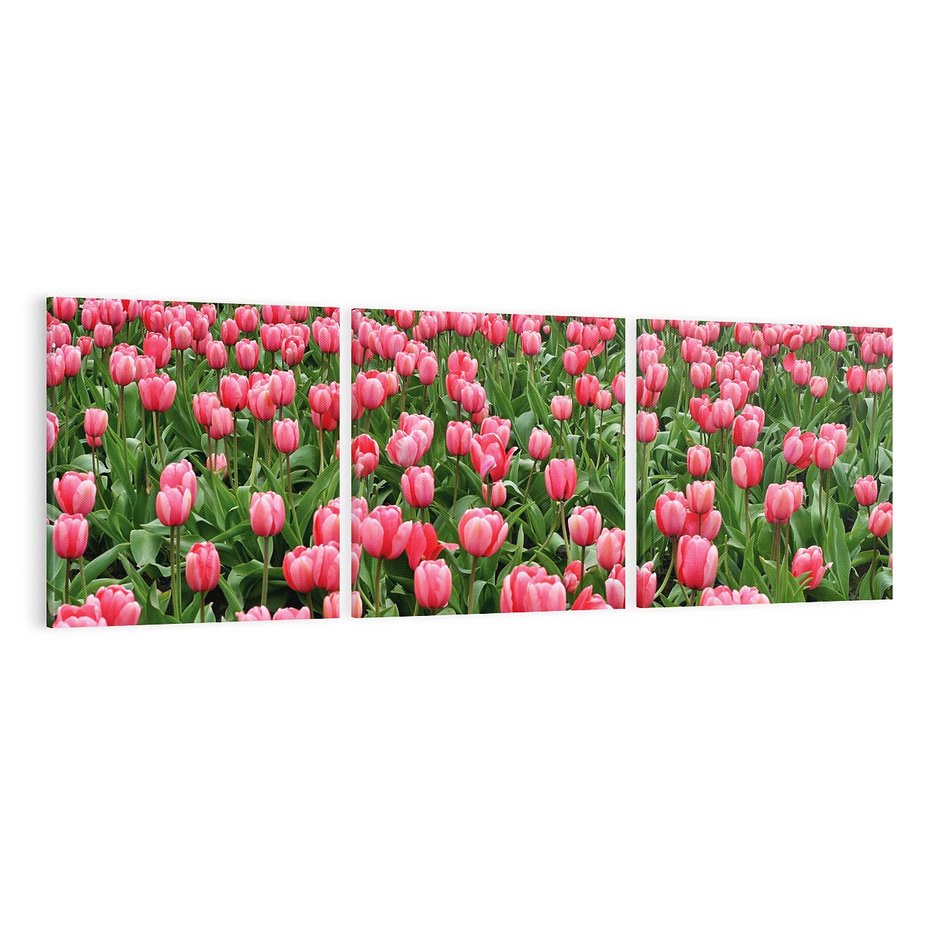 Obraz na płótnie 150x50 - Tulipanowe Elegancja - tulipany, kwiat