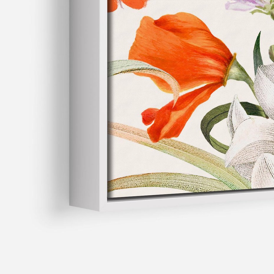 Obraz w ramie 80x80 - Polne Kwiaty - polne kwiaty, na białym tle - rama biała