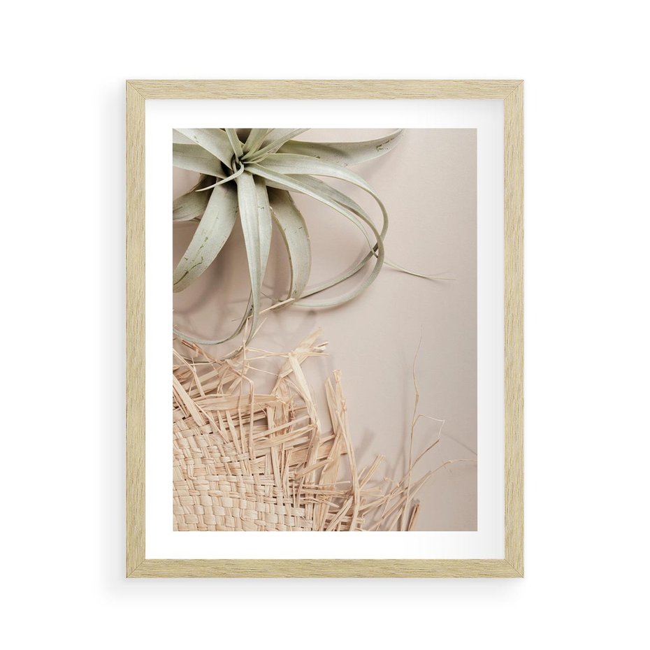 Plakat w ramie 40x50 - Aloes w Stylu Boho - kompozycja, wiklina - rama drewno