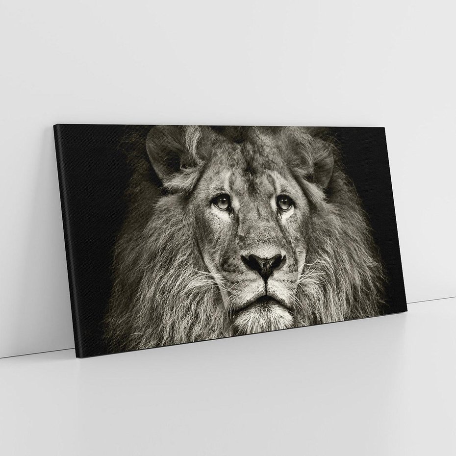 Obraz na płótnie 120x60 - Moc lewego spojrzenia - lew, czarno