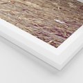 Plakat w ramie 40x50 - Suche Trawy w Wyjątkowym Stylu - suche trawy, boho styl - rama biała