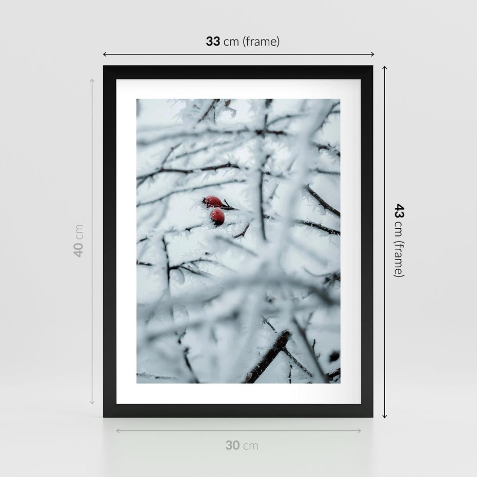 Plakat w ramie 30x40 - Zima w Detalu: Gałęzie ze Szronem i Śniegiem - śnieg, zima - rama czarna