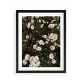 Plakat w ramie 40x50 - Czyste Piękno - białe kwiaty, białe róże - rama czarna