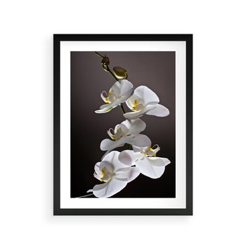 Plakat w ramie 30x40 - SPA: harmonia z kwiatami - spa, kwiaty - rama czarna