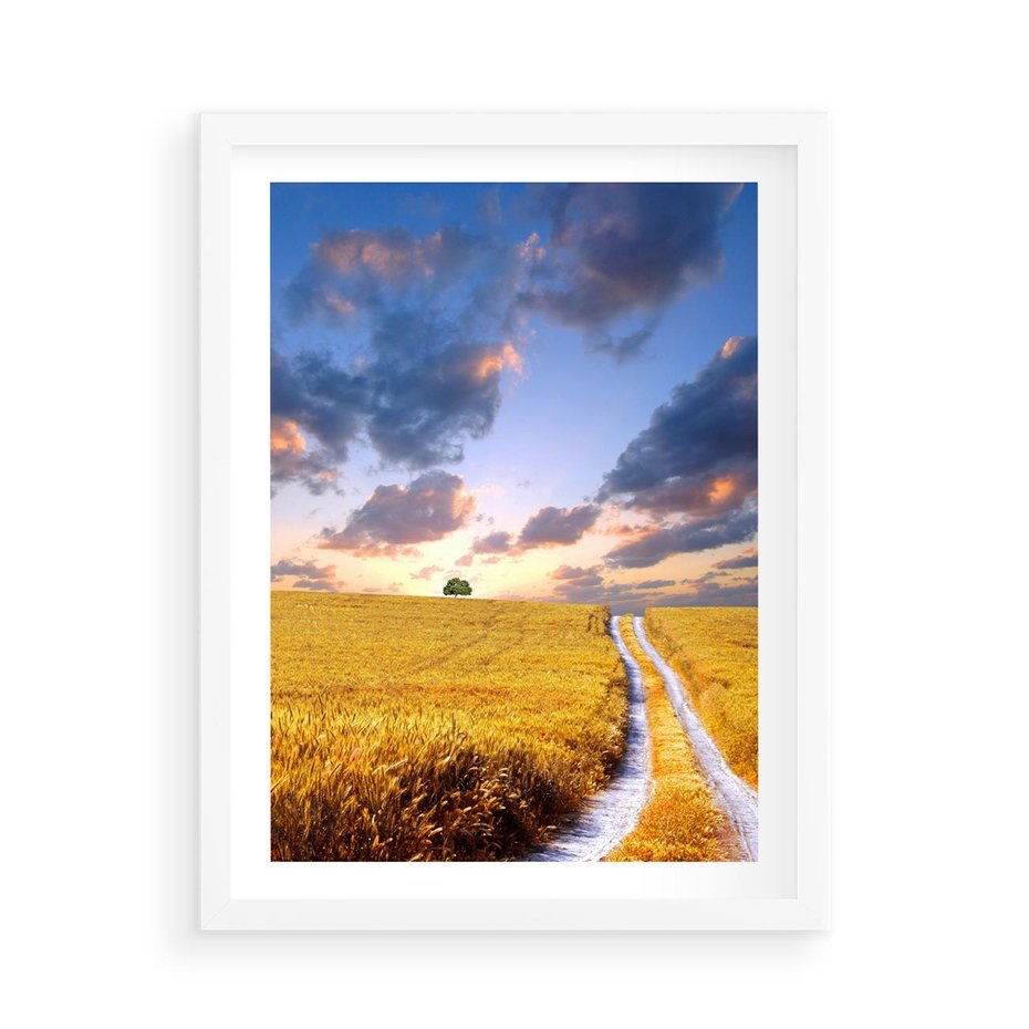 Plakat w ramie 50x70 - Magiczna droga w lesie - droga, ścieżka - rama biała